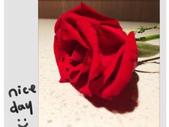 -海底捞火锅(长沙华创国际广场店)