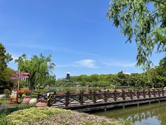 -上海鲜花港