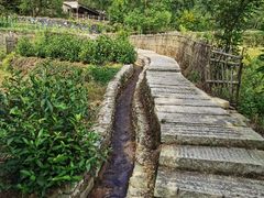 -塔川景区