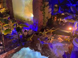 -恐龙探索乐园(磁器口店)