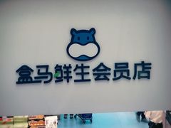-盒马鲜生(大成店)