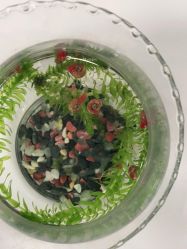 -瑶芳清颜草本祛痘