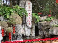 -广州市流溪河国家森林公园
