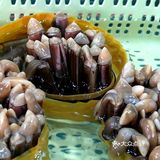 三亚旅游|海棠湾，除了免税店，还有海鲜大餐哦~