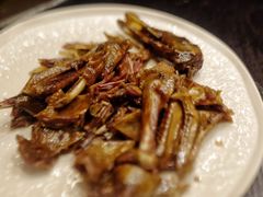 -滇野云南野生菌餐厅(陕西南路店)