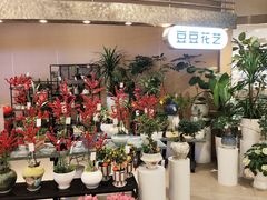 -豆豆花艺(新光天地店)