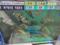 -好味道海鲜大排档·老字号(巽寮湾海鲜市场店)
