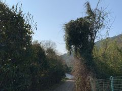 -缥缈峰景区