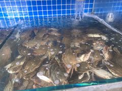 -蟹谢蒸鲜自助餐厅