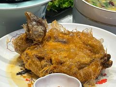 -羊瑞堂·横山炖羊肉·陕菜(未央路旗舰店)