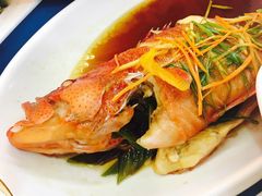 -龙泉海鲜酒楼(龙昆南路店)