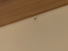 -古尔沟华美达温泉度假酒店