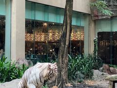 -白虎自助餐厅·真老虎·景观自助餐厅(广州长隆酒店)