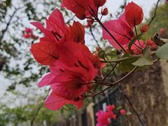 -南宁市凤岭儿童公园