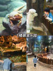 -宝燕乐园(闵行旗舰店)