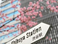 -涩谷全向十字路口