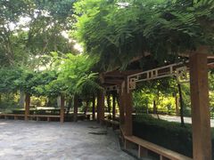 -西安市长乐公园