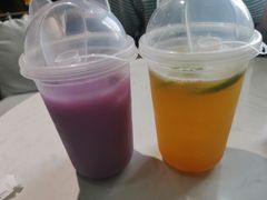 -Husky Go! 哈士奇体验馆·宠物咖啡厅狗咖