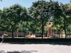 -石家庄市动物园