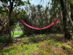 -白鹭湾湿地公园