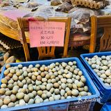 佛山探店｜特色农家菜｜高明濑粉｜免费鸡骨草茶！