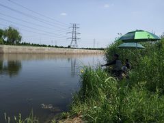 -九里河湿地公园