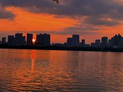 -艾溪湖湿地公园