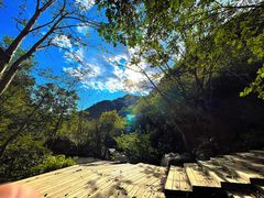 -大岭沟猕猴桃谷风景区
