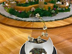 -慈溪白金汉爵大酒店