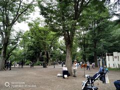-井之头恩赐公园