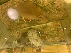 -龙猫仔乐园(惠福东路店)