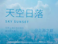 -上海中心大厦