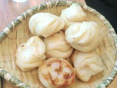 -鸽子刘铁锅炖鱼(劲松店)