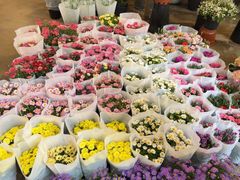 -双季花艺园艺市场(浦东店)