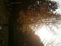 android_upload_pic-苏州河梦清园环保主题公园