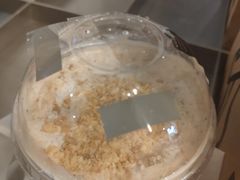 -喜茶(东莞雍华庭店)