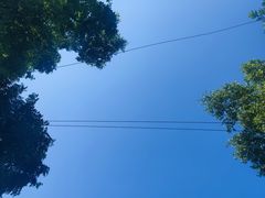 -亮亮面馆(经六路店)