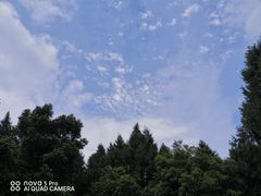 -富乐山