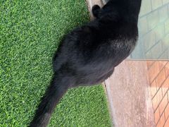 -UNIUNI(凯瑟琳广场店)