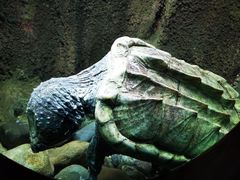 -太平洋海底世界