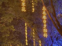 -万泉公园