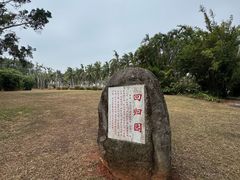 -万绿园