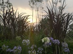 -府河摄影公园