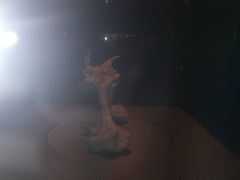 -世界恐龙谷景区