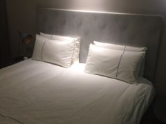 -白玉兰酒店(上海田子坊马当路地铁站店)