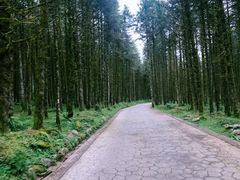 -石棉县孟获城