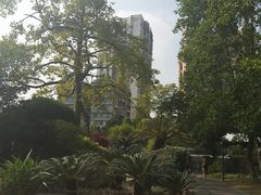 -晓港公园