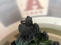 -紫阳海鲜楼·传承闽味(长乐路总店)