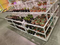 -KKV(天津津南吾悦广场店)