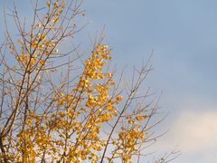 -东山风景区(洞庭东山)